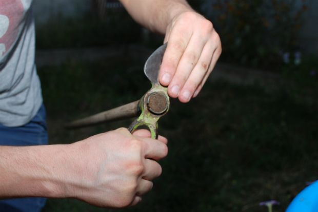 Photo: wikihow.com