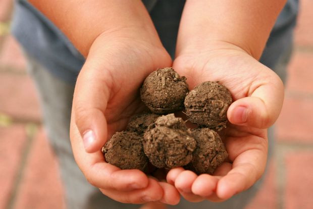 Photo: Seed balls, Σβώλοι σπόρων / blog.kidzui.com