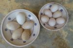 Αυγά χήνας (αριστερά) και πάπιας (δεξιά)
