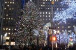 Το δένδρο στο Rockefeller Center. Photo: Elizabeth Veneskey.