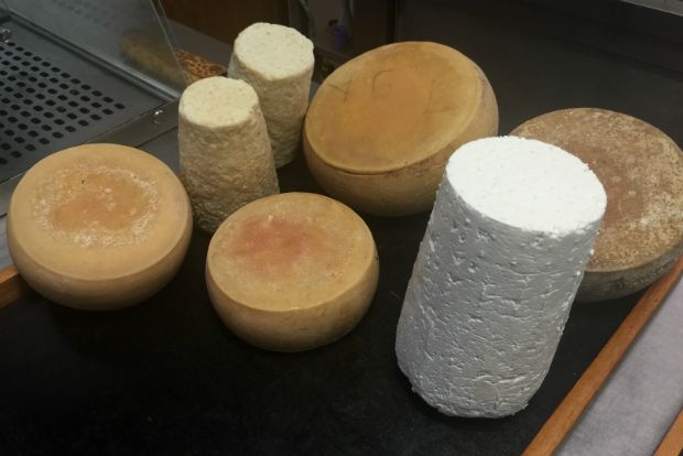 Από αριστερά: Μυζήθρες, Γραβιέρες παλαίωσης, Πυθαρίσιο τυρί (πάνω και δεξιά), Φρέσκια μυζήθρα (η λευκή κάτω και δεξιά)/ φωτό: Δημήτρης Μπούτος