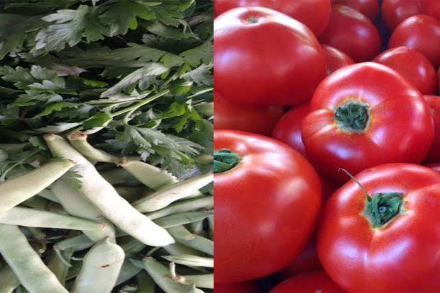 &phi;&omega;&tau;o: &Sigma;&tau;έ&lambda;&lambda;&alpha; &Alpha;&lambda;&alpha;&phi;&omicron;ύ&zeta;&omicron;&upsilon;