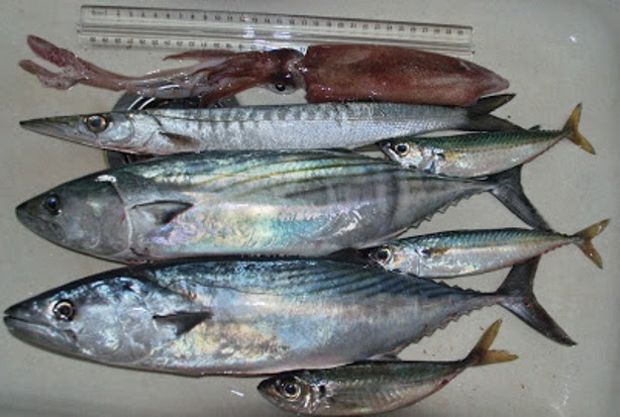 Photo: Μαρίνα Μαυρομάτη