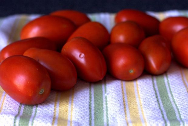 Ντομάτες της ποικιλίας ρόμα, κατάλληλες για σάλτσες και ντοματοπελτέ (maggiemakes@Flickr)