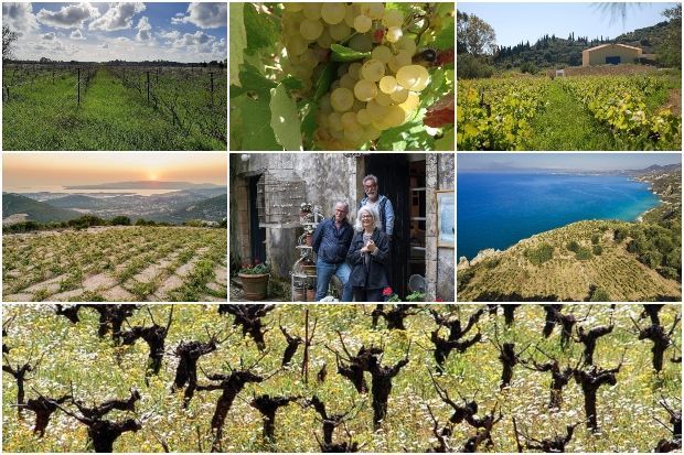 Τα επτά οινοποιεία του ΣΟΚ (από αριστερά επάνω), Foivos Wines, Gentilini Winery & Vineyards, Sclavos Wines, Ορεάλιος Γη, Κτήμα Χαριτάτου – Haritatos Vineyard, Petrakopoulos Wines και Sarris Winery