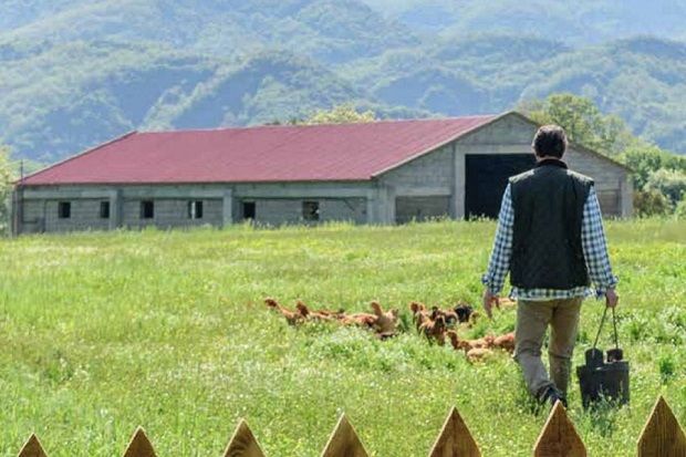 Ο ΑΠΣΙ Πίνδος ελέγχει πλήρως τη διατροφή των πουλερικών στις πτηνοτροφικές μονάδες των μελών του