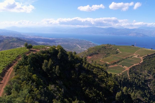 Το ορεινό ανάγλυφο της Αιγιάλειας πληροί όλες τις προϋποθέσεις της ηρωικής αμπελουργίας (photo: Rouvalis Winery)