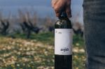 Εδώ και 35 χρόνια το Ασπρολίθι αποδεικνύει ότι ο «ταπεινός» ορεινός Ροδίτης μπορεί να δώσει λευκά κρασιά παγκόσμιας κλάσης (Rouvalis Winery)